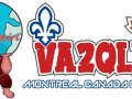 VA2QLX-qsl