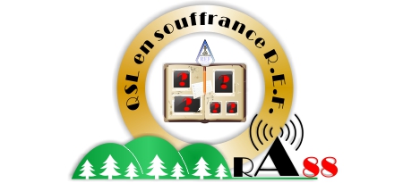 Logo QSL souffrance2