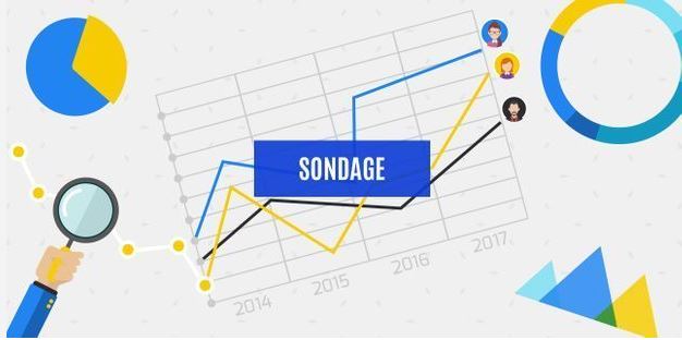 Sondage 1